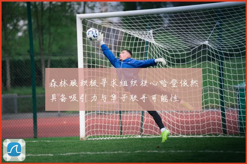 森林狼积极寻求组织核心哈登依然具备吸引力与华子联手可能性