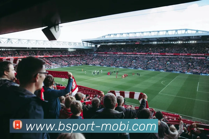 B体育APP 封面图